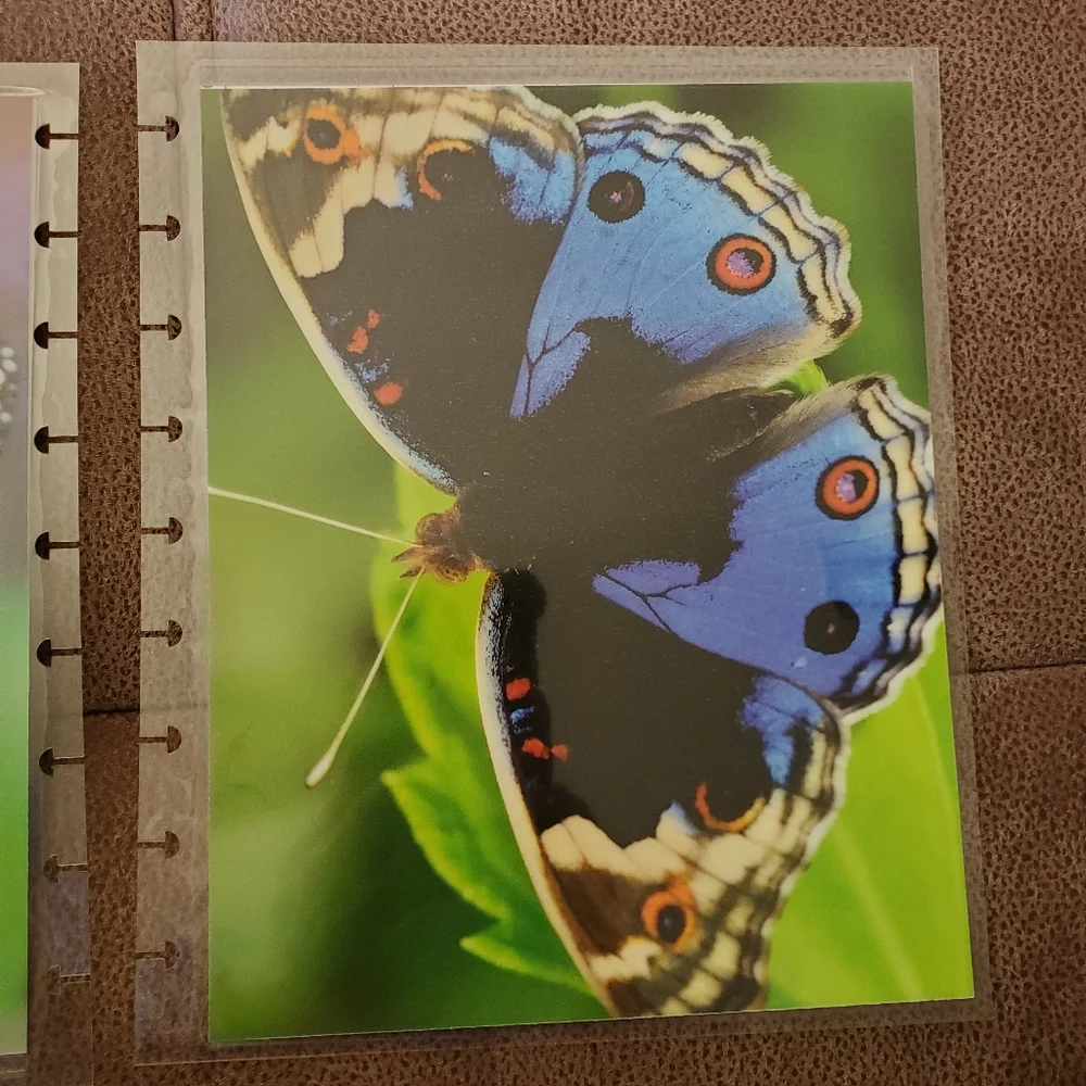 Hand Made cover For A Classic Sized Disc Bound Planner Psalm 31:24 cherry tree